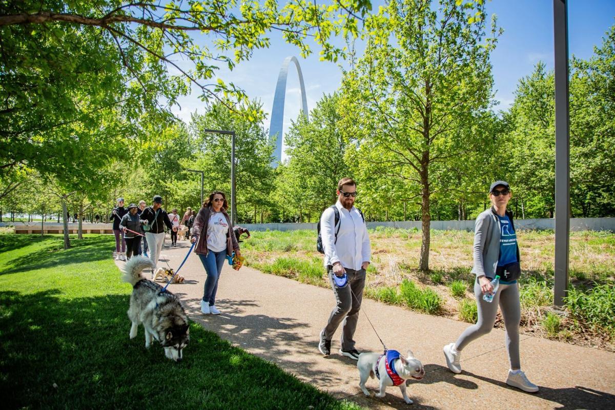 arch bark walk.jpg
