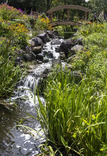 Rodney Jarboe's winning garden for the annual Great Garden Contest